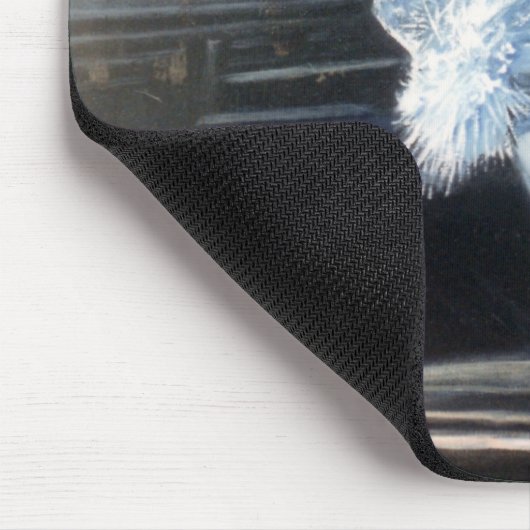 ballet muismat (Hoek)