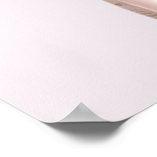 Ballet Point Shoes Poster (Hoek)