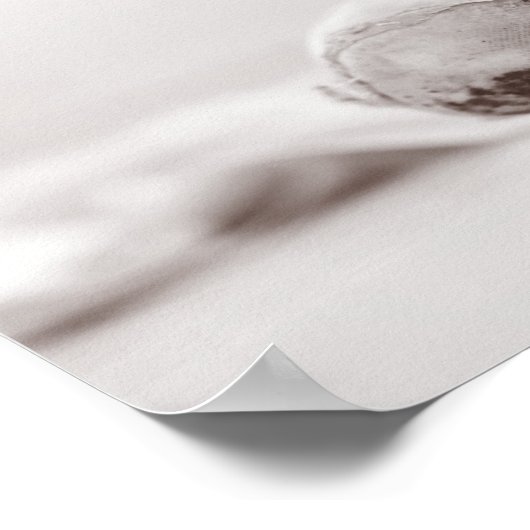 Ballet Pointe Shoes on Dance Floor Sjabloon Poster (Hoek)