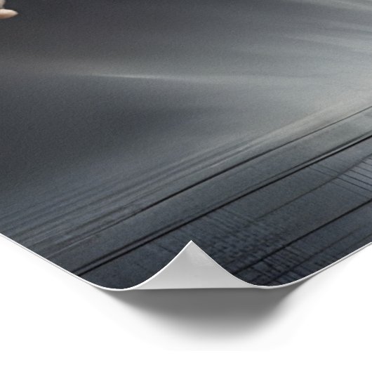 Ballet Poster (Hoek)