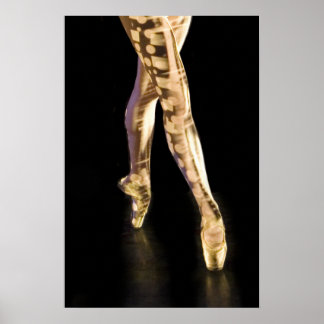 Ballet Poster-4204 Poster