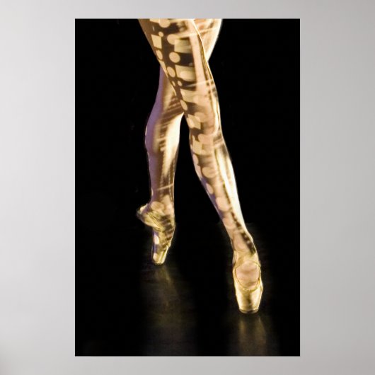 Ballet Poster-4204 Poster (Voorkant)