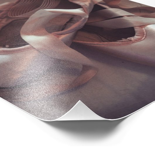 Balletschoenen Foto Afdruk (Hoek)