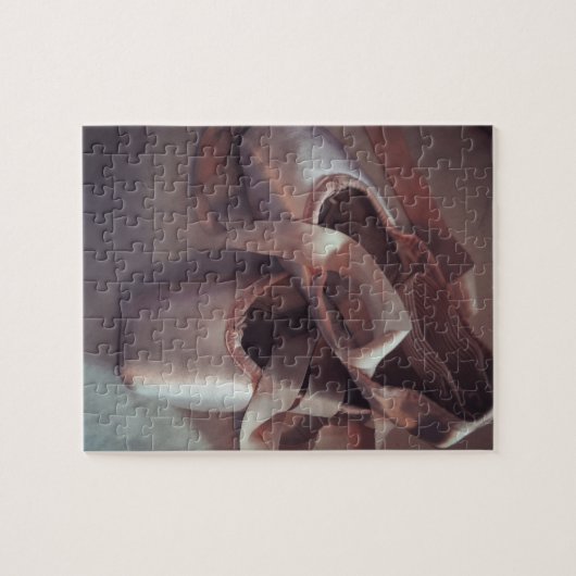 balletschoenen legpuzzel (Horizontaal)