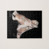 Balletschoten Fractal Legpuzzel (Horizontaal)