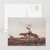 Balling Ostriches Briefkaart (Voorkant / Achterkant)