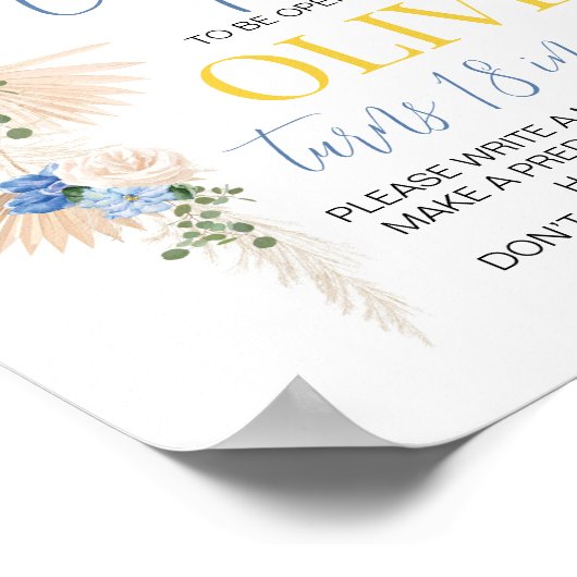 Ballon Boy Birthday Time Capsule Sign Poster (Hoek)