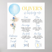 Ballon Boy First Birthday Milestone Sign Poster (Voorkant)
