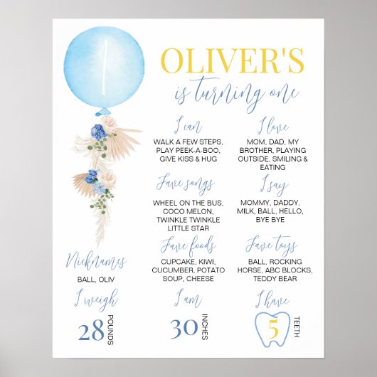 Ballon Boy First Birthday Milestone Sign Poster (Voorkant)