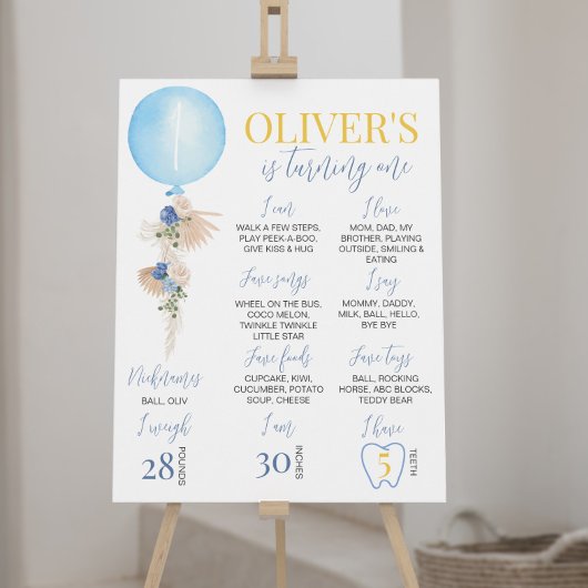 Ballon Boy First Birthday Milestone Sign Poster