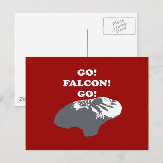 Ballon Boy - Go Falcon Go Briefkaart (Voorkant / Achterkant)