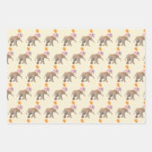 Ballon Elephant party INPAKPAPIER VEL (Voorkant 2)