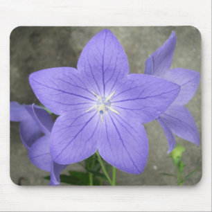 Ballon Flower Mousepad Muismat