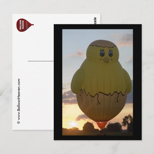 Ballon kuiken2 briefkaart (Voorkant / Achterkant)