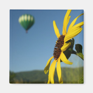 ballon magneet