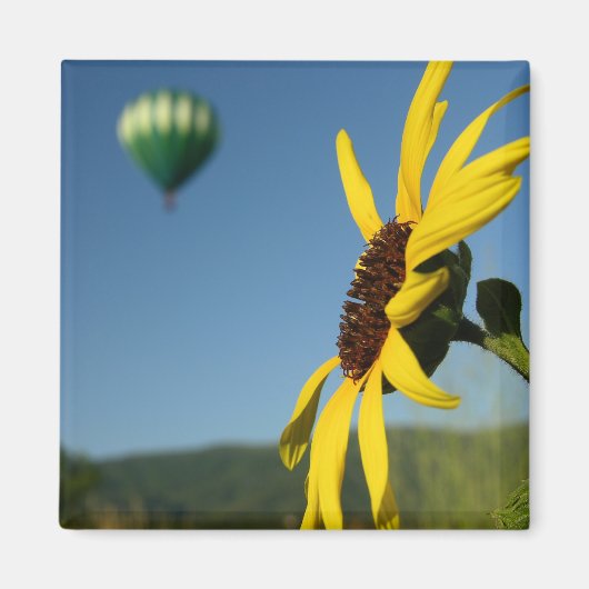 ballon magneet (Voorkant)