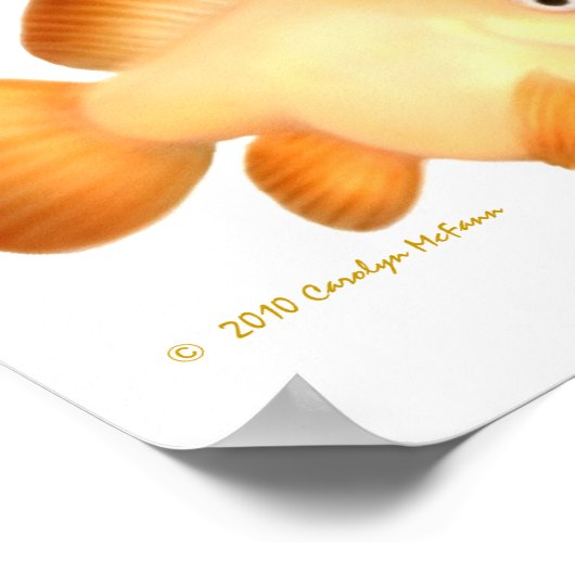 Ballon Mollies Tropical Fish Print (Hoek)