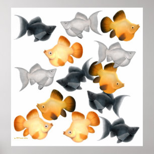 Ballon Mollies Tropical Fish Print