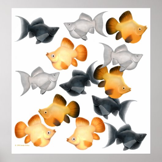 Ballon Mollies Tropical Fish Print (Voorkant)