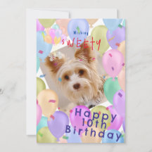 Ballon Pet Pastel Foto