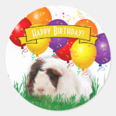 Ballon voor de vogelspoeling van Cute Guinee Ronde Sticker (Voorkant)