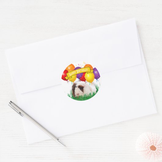 Ballon voor de vogelspoeling van Cute Guinee Ronde Sticker (Envelop)