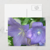 Ballonbloem Briefkaart (Voorkant / Achterkant)