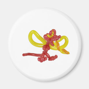 ballondraak magneet