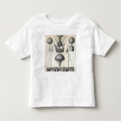 Ballonnen Kinder Shirts (Voorkant)