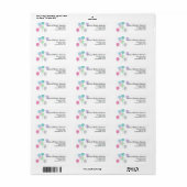 Ballonnen retouradres labels pastel roze blauw (Full Sheet)