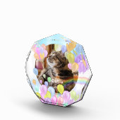 Ballonpastel Dier Pet Fotoblokken (Rechts)