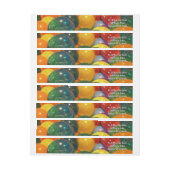 Ballons Colorful Party-ontwerp (Vel)