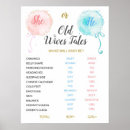 Ballons Oude vrouwen Roze Blauwe Waterverf Post Poster