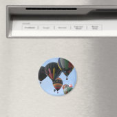 Ballonvaren 2011 magneet (Insitu (Vaatwasser))