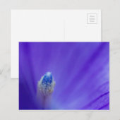 ballonventilator briefkaart (Voorkant / Achterkant)