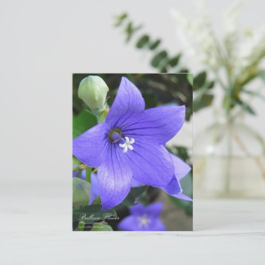 Ballonventilator:Briefkaart Briefkaart (Staand voorkant)