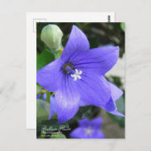 Ballonventilator:Briefkaart Briefkaart (Voorkant / Achterkant)