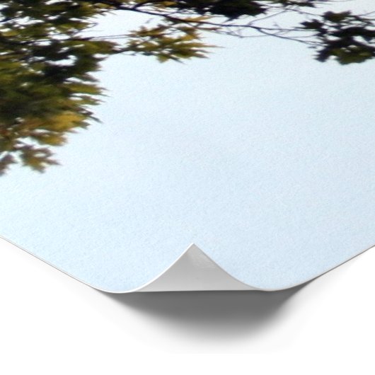 Ballonvlucht Poster (Hoek)