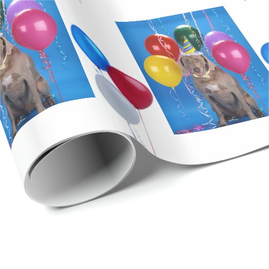 Balloons en watersproeipapier cadeaupapier (Rol Hoek)