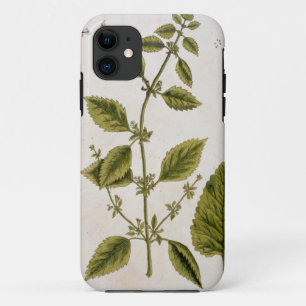Balm, bord 27 uit "A Curious Herbal", gepubliceerd iPhone 11 Hoesje
