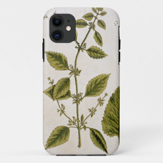 Balm, bord 27 uit "A Curious Herbal", gepubliceerd Case-Mate iPhone Case (Achterkant)
