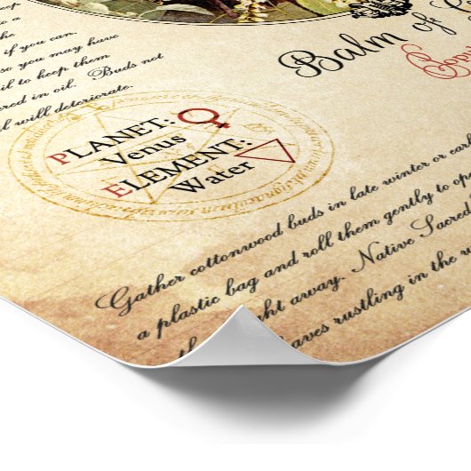 BALM VAN GILEAD POSTER (Hoek)