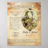 BALM VAN GILEAD POSTER (Voorkant)