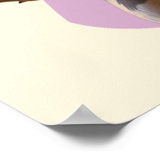 Baloo 1 2 poster (Hoek)