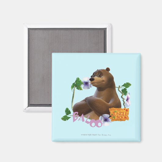 Baloo 2 magneet (Voorkant / Achterkant)