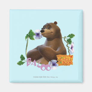 Baloo 2 magneet