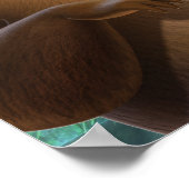 Baloo 4 2 poster (Hoek)