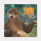 Baloo 4 magneet (Voorkant)