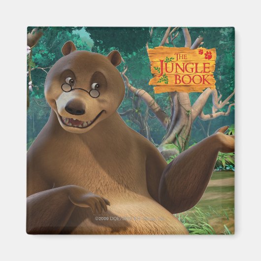 Baloo 4 magneet (Voorkant)