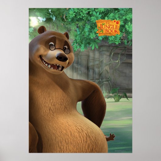 Baloo 5 2 poster (Voorkant)